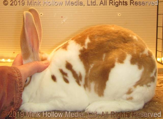 0-main.jpg 0-main.jpg