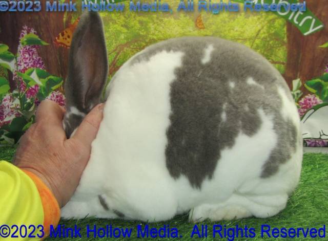 0-main.jpg 0-main.jpg