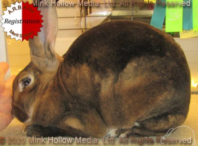 0-main.jpg 0-main.jpg