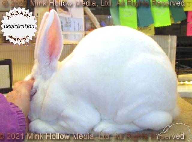 0-main.jpg 0-main.jpg