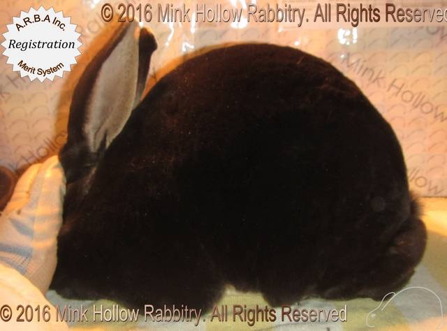 0-main.jpg 0-main.jpg