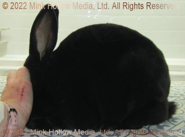 0-main.jpg 0-main.jpg