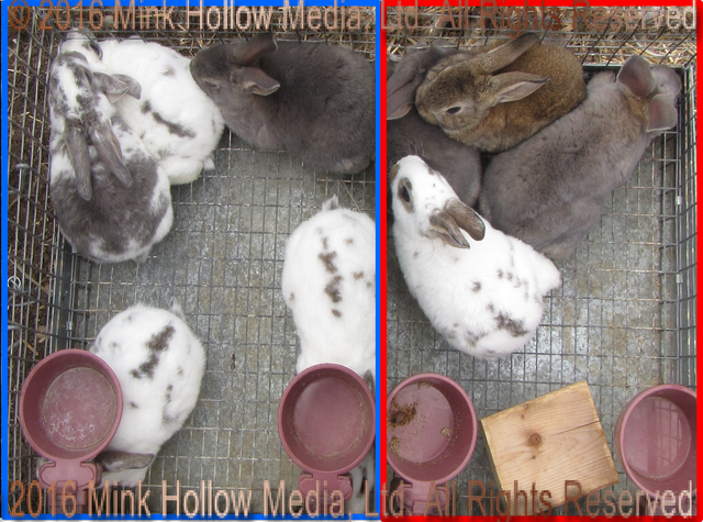 ydd_wm.png ydd_wm.png