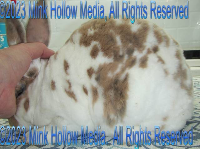 fge1-2022-11-05-16-40-15_wm.jpg fge1-2022-11-05-16-40-15_wm.jpg