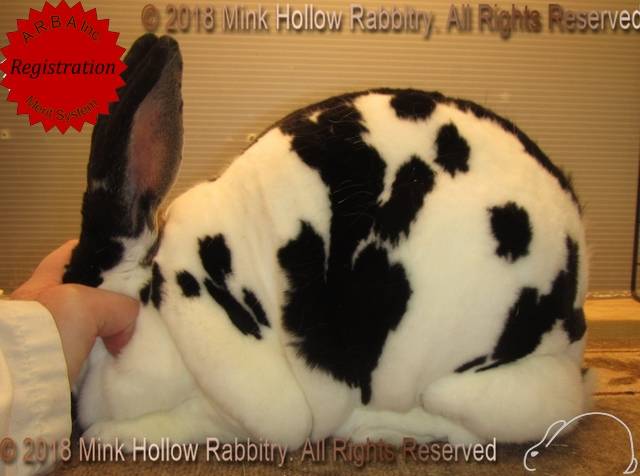 0-main.jpg 0-main.jpg