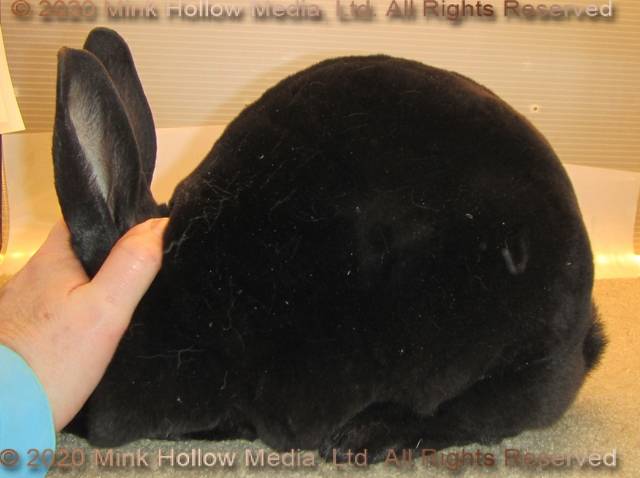 0-main.jpg 0-main.jpg