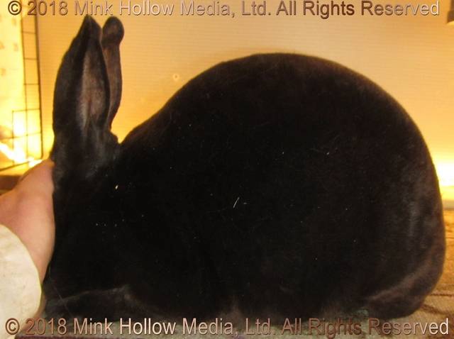 0-main.jpg 0-main.jpg