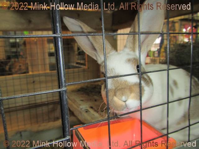 2021-10-13-17-04-16_wm.jpg 2021-10-13-17-04-16_wm.jpg