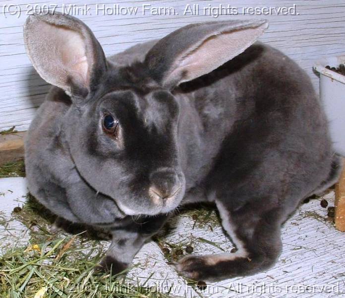 nox--06-06-01.jpg nox--06-06-01.jpg