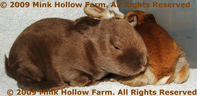 august-416.jpg august-416.jpg