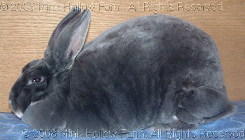 nano-2008-11-09-063.jpg nano-2008-11-09-063.jpg