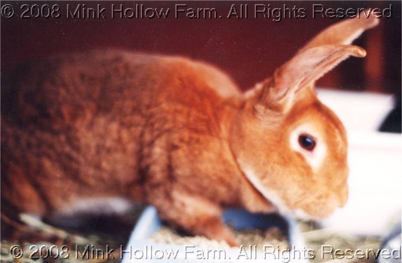 alice-95-3.jpg alice-95-3.jpg