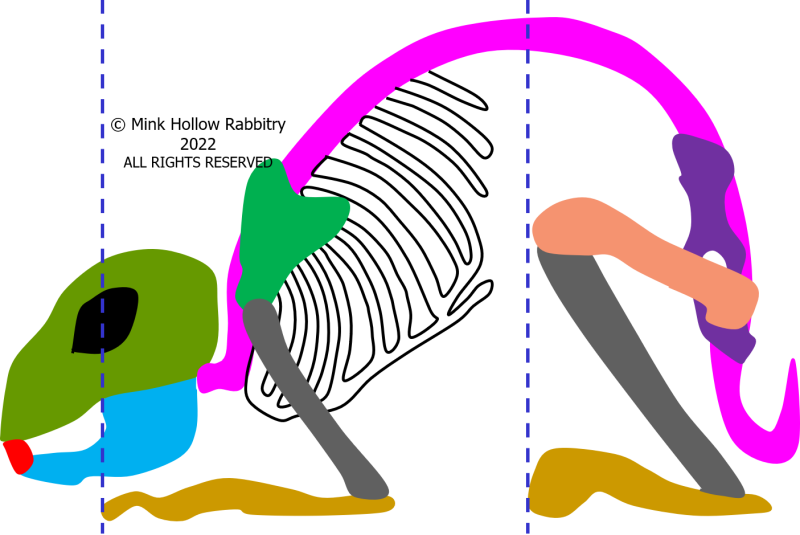 skeleton-4.png skeleton-4.png