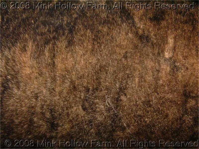 2008-07-04-041.jpg 2008-07-04-041.jpg