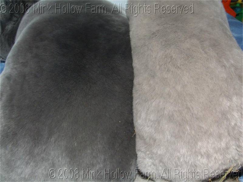 2008-10-28-018.jpg 2008-10-28-018.jpg