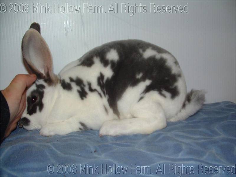 pf15-2008-08-24-104.jpg pf15-2008-08-24-104.jpg