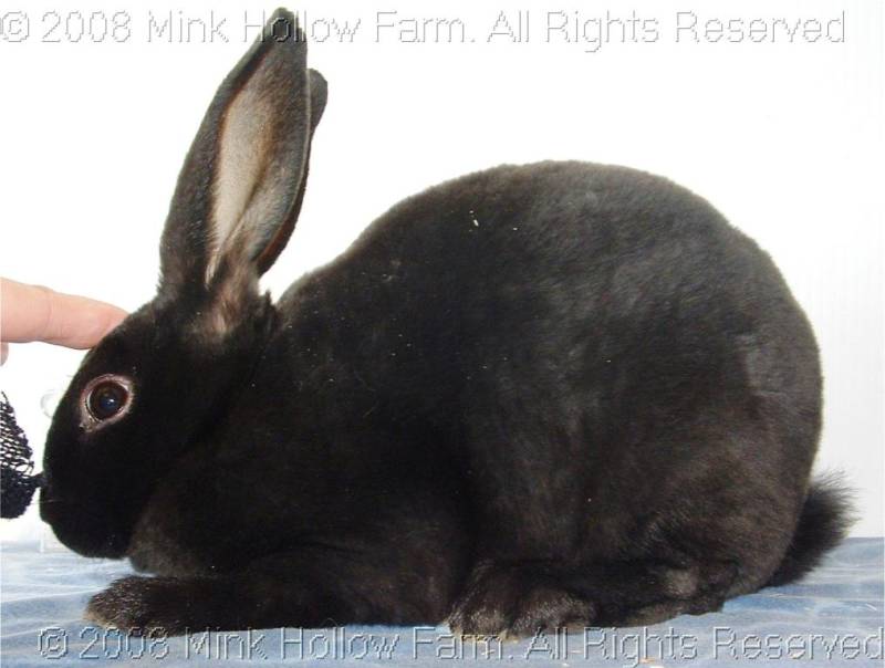 ph32-2008-10-19-012.jpg ph32-2008-10-19-012.jpg