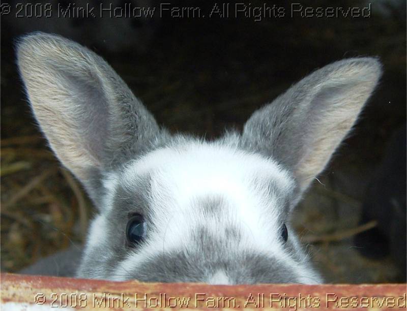 2008-06-26-041.jpg 2008-06-26-041.jpg