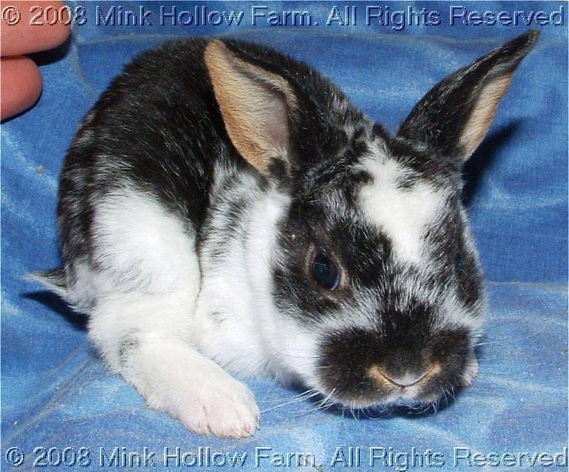 2008-06-20-019.jpg 2008-06-20-019.jpg