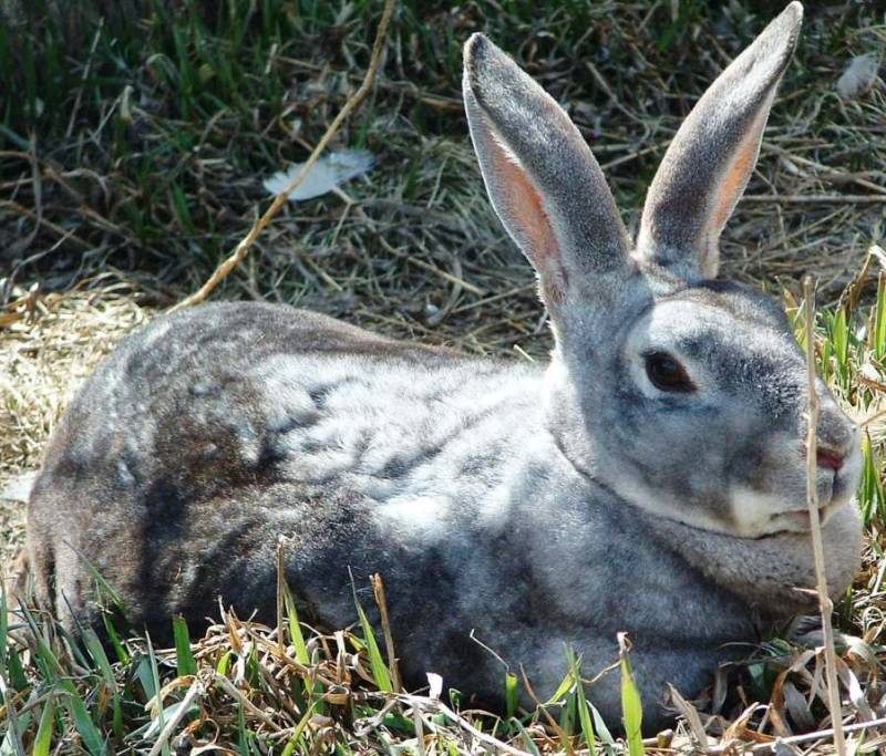 louise-04-04-11-029.jpg louise-04-04-11-029.jpg