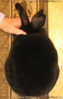 tink-2019-10-04-19-00-31_wm.jpg
