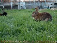 K.D. (Khazad Dum) 2008