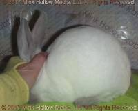 acc3-2017-05-06_16-27-23_wm.jpg
