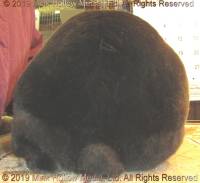 goldberry-2019-12-07-18-53-36_wm.jpg